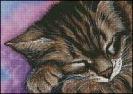 (image for) Sleepy Head